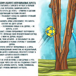 image0-(7).jpeg